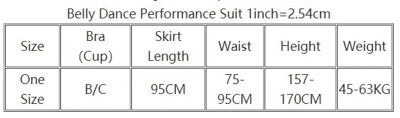 Belly Dance Costume Suit for Women Children Winter Long Sleeves Bra chiffon Skirt 3pcs Female  Oriental Belly Dancing Outfit